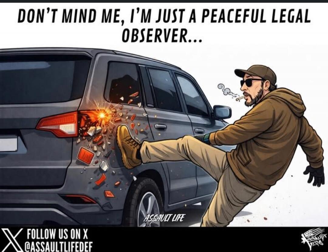 DON'T MIND ME, I'M JUST A PEACEFUL LEGAL OBSERVER...