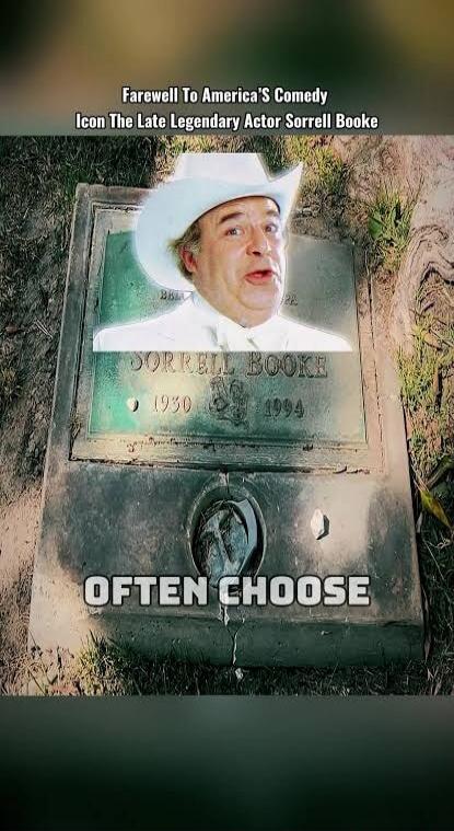 Farewell To America's Comedy Icon The Late Legendary Actor Sorrell Booke SORRELL BOOKE 1930 1994 OFTEN CHOOSE