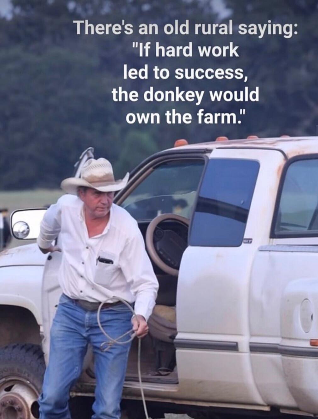 There's an old rural saying: 'If hard work led to success, the donkey would own the farm.'