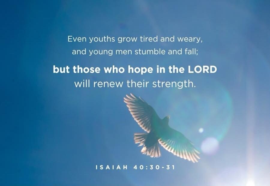 Even youths grow tired and weary, and young men stumble and fall; but those who hope in the LORD will renew their strength. ISAIAH 40:30-31
