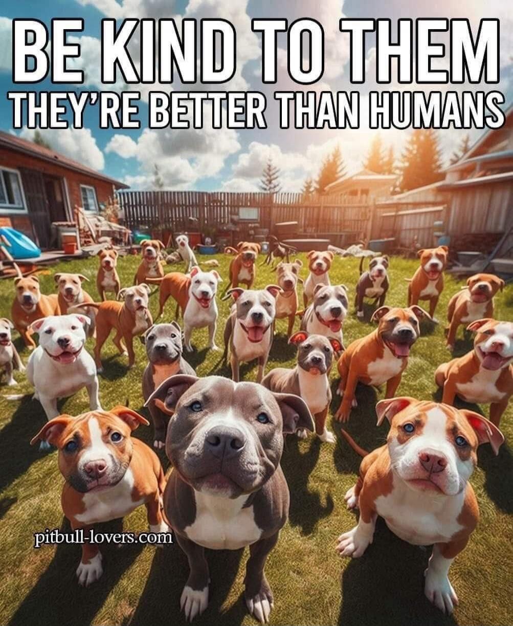 BE KIND TO THEM THEY'RE BETTER THAN HUMANS pitbull-lovers.com
