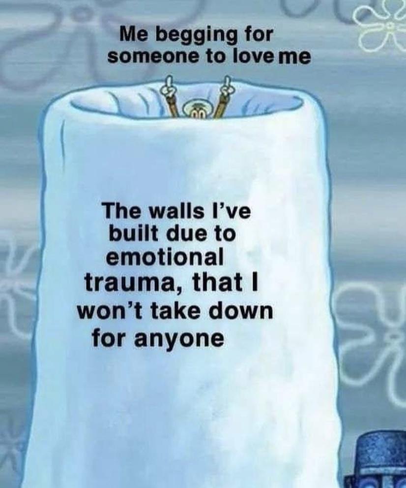 i Me begging for someone to love me The walls Ive built due to emotional trauma that wont take down for anyone