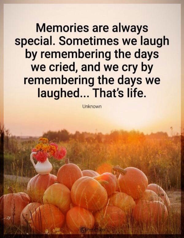 Memories are always special. Sometimes we laugh by remembering the days we cried, and we cry by remembering the days we laughed... That’s life.