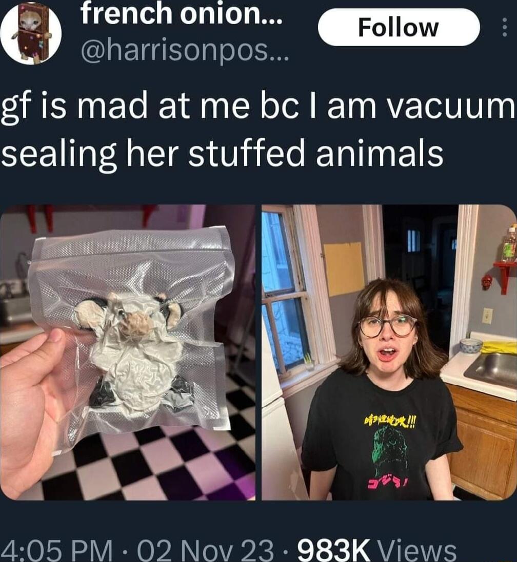 frenchonion 5 J harrisonpos gf is mad at me bc am vacuum sealing her stuffed animals 405 PM 02 Nov 23 983K Views