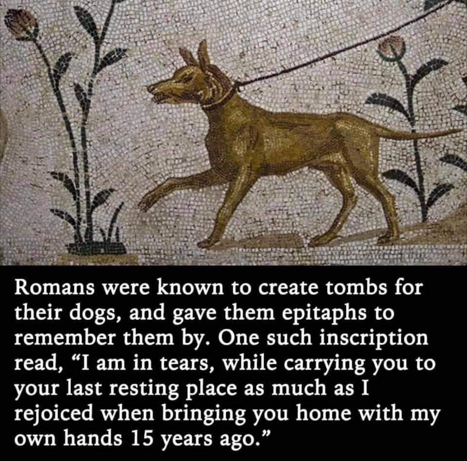 SRR S Romans were known to create tombs for their dogs and gave them epitaphs to remember them by One such inscription read I am in tears while carrying you to your last resting place as much as I rejoiced when bringing you home with my own hands 15 years ago