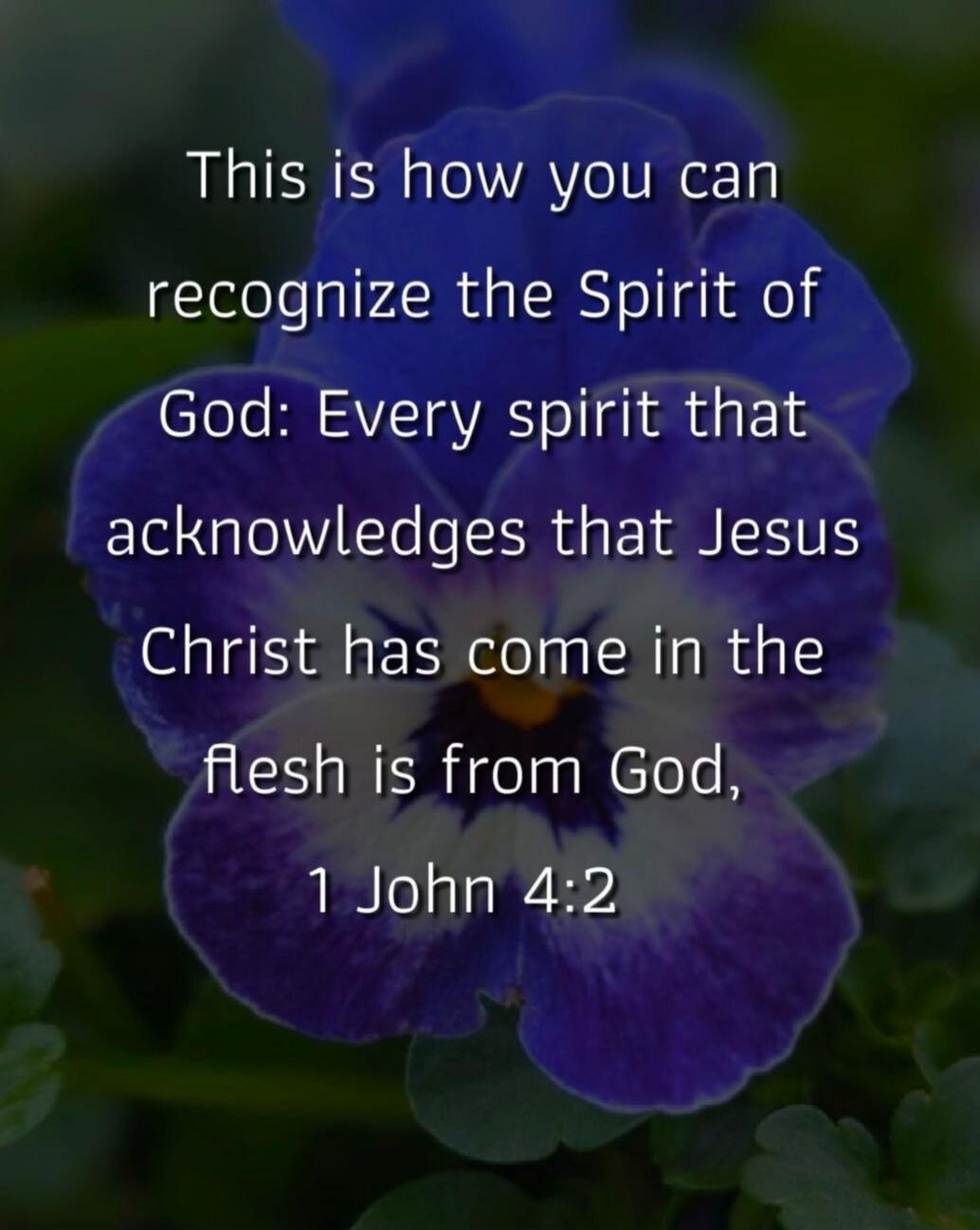This is how you can recognize the Spirit of God: Every spirit that acknowledges that Jesus Christ has come in the flesh is from God, 1 John 4:2