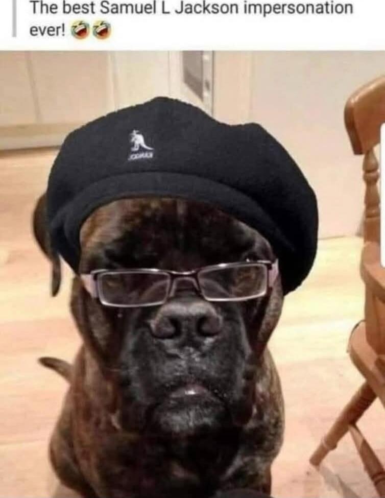 The best Samuel L Jackson impersonation ever! 😂😂