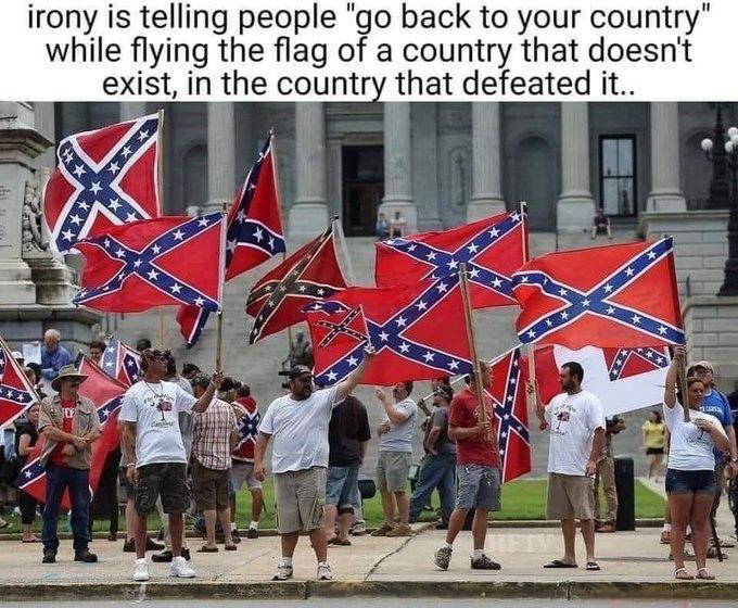 irony is telling people go back to your country while flying the flag of a country that doesnt exist in the country that defeated it