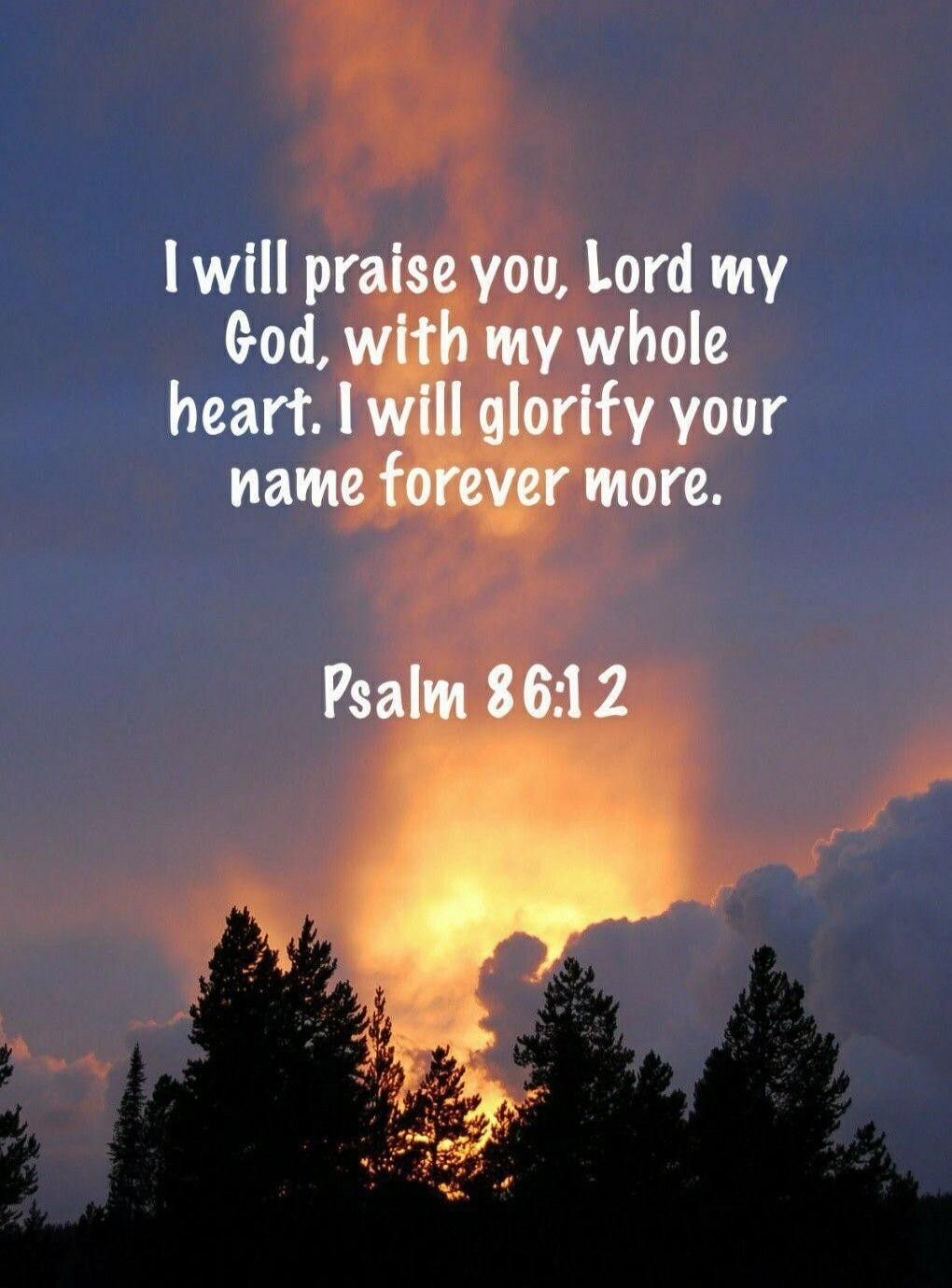 I will praise you, Lord my God, with my whole heart. I will glorify your name forever more. Psalm 86:12