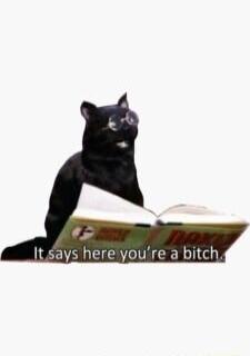 It says hereyoure a bitch