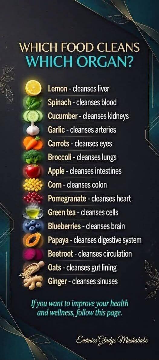 WHICH FOOD CLEANS WHICH ORGAN? Lemon - cleanses liver. Spinach - cleanses blood. Cucumber - cleanses kidneys. Garlic - cleanses arteries. Carrots - cleanses eyes. Broccoli - cleanses lungs. Apple - cleanses intestines. Corn - cleanses colon. Pomegranate - cleanses heart. Green tea - cleanses cells. Blueberries - cleanses brain. Papaya - cleanses di