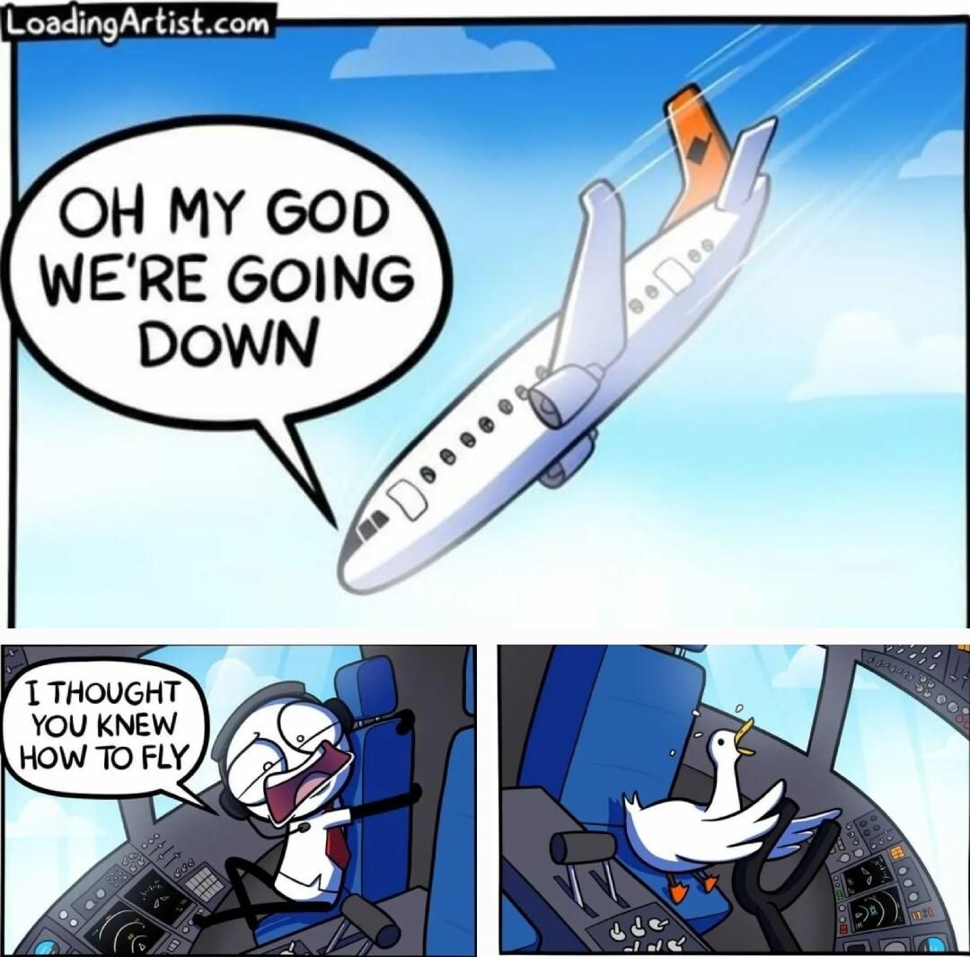 LoadingArtistcom OH MY GoD WERE GOING T THOUGHT YOU KNEW HOW TO FLY