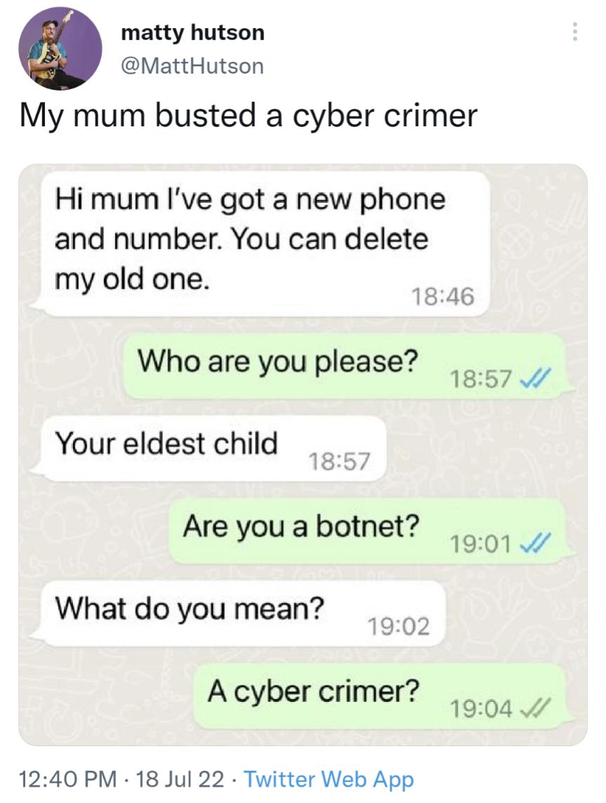matty hutson MattHutson My mum busted a cyber crimer Hi mum Ive got a new phone and number You can delete my old one Ve Who are you please 1857 Your eldest child Are you a botnet 190142 What do you mean 8 902 A cyber crimer 1004 1240 PM 18 Jul 22 Twitter Web App