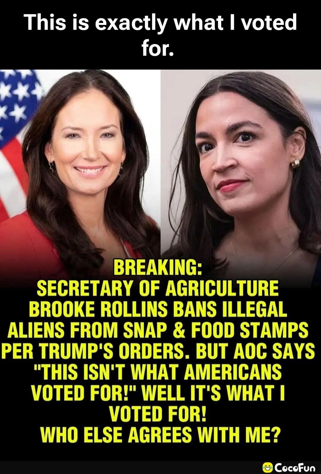 This is exactly what I voted for. BREAKING: Secretary of Agriculture Brooke Rollins bans illegal aliens from SNAP & Food Stamps per Trump's orders. But AOC says 