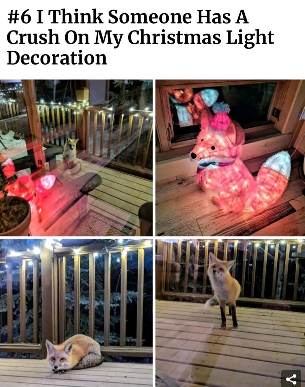 6 1 Think Someone Has A Crush On My Christmas Light Decoration