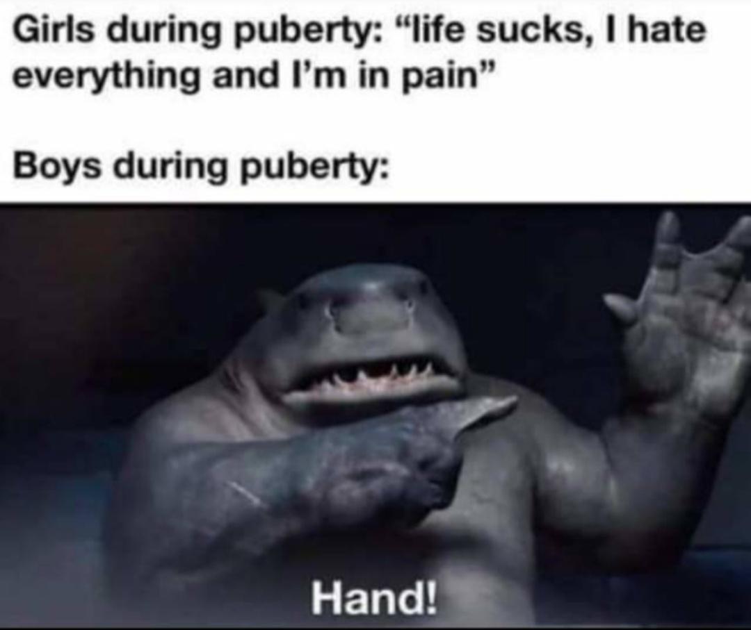 Girls during puberty life sucks hate everything and Im in pain Boys during puberty Hand