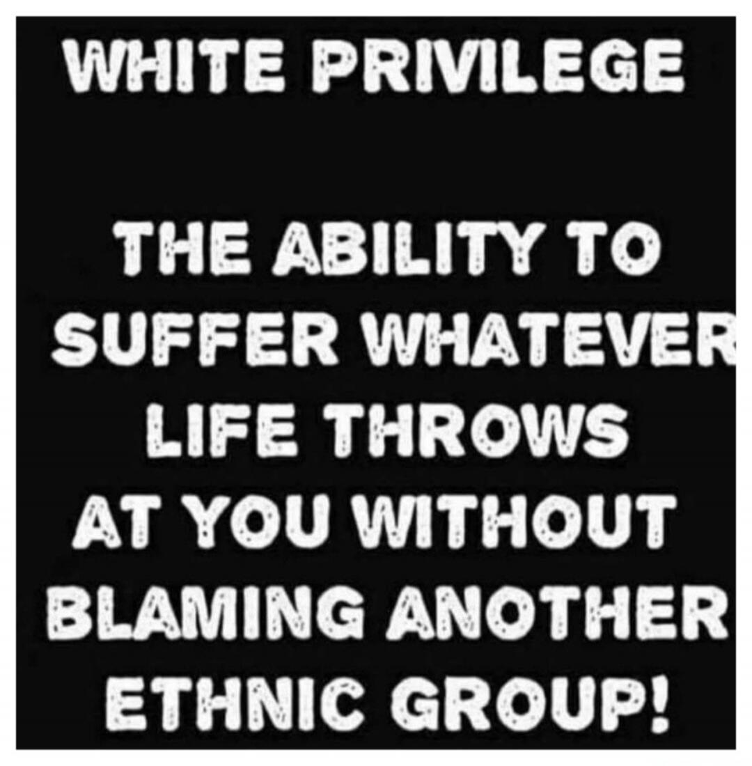WHITE PRIVILEGE THE ABILITY TO SUFFER WHATEVER LIFE THROWS AT YOU WITHOUT BLAMING ANOTHER ETHNIC GROUP!