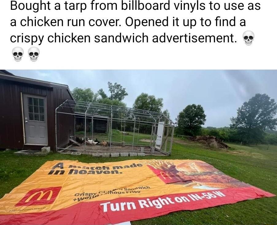 Bought a tarp from billboard vinyls to use as a chicken run cover Opened it up to find a crispy chicken sandwich advertisement e o o