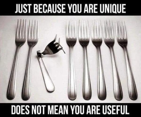 JUST BECAUSE YOU ARE UNIQUE DOES NOT MEAN YOU ARE USEFUL