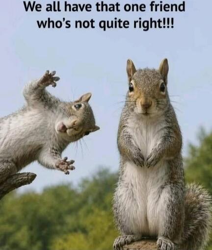 We all have that one friend who's not quite right!!!