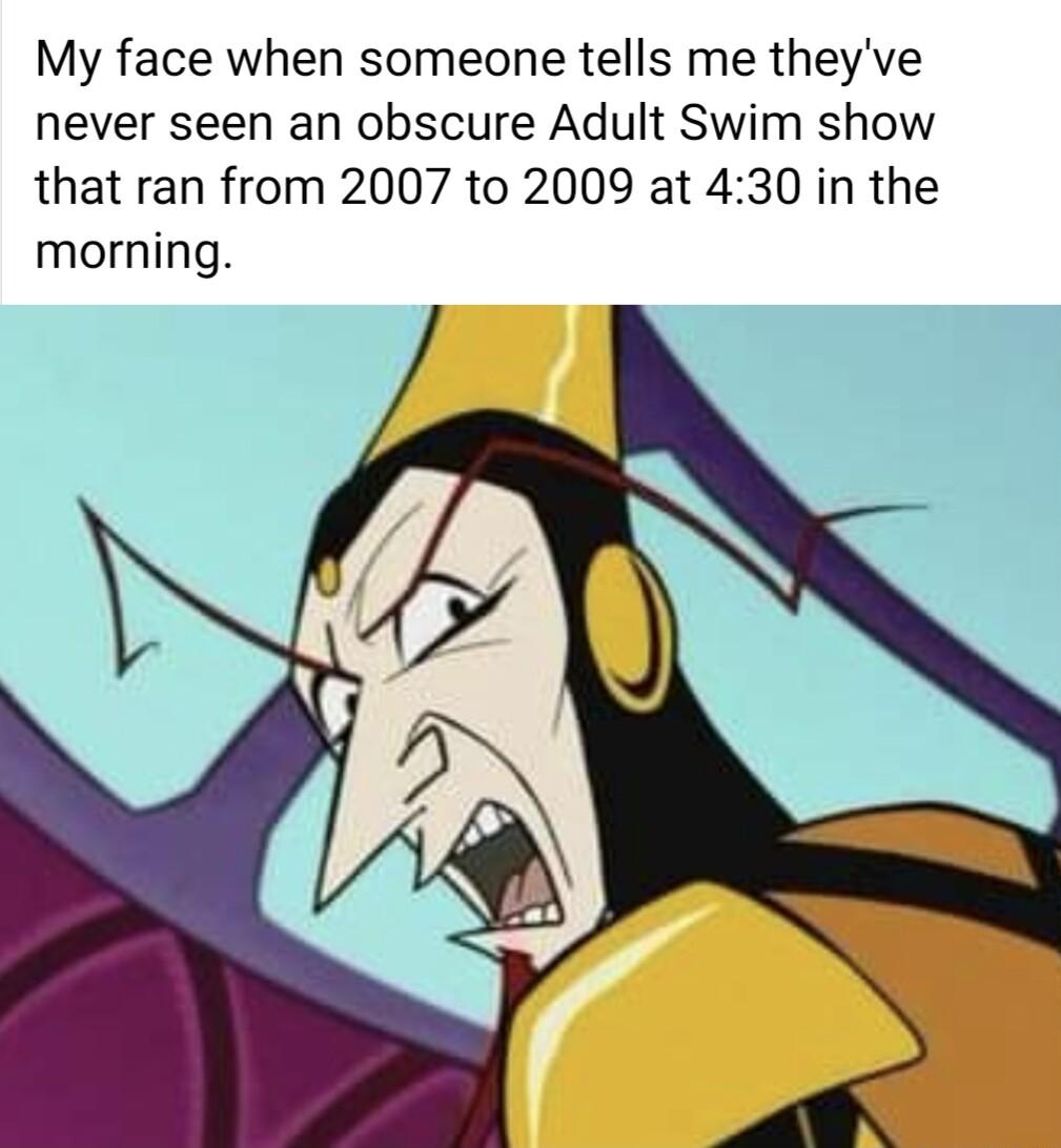 My face when someone tells me theyve never seen an obscure Adult Swim show that ran from 2007 to 2009 at 430 in the morning