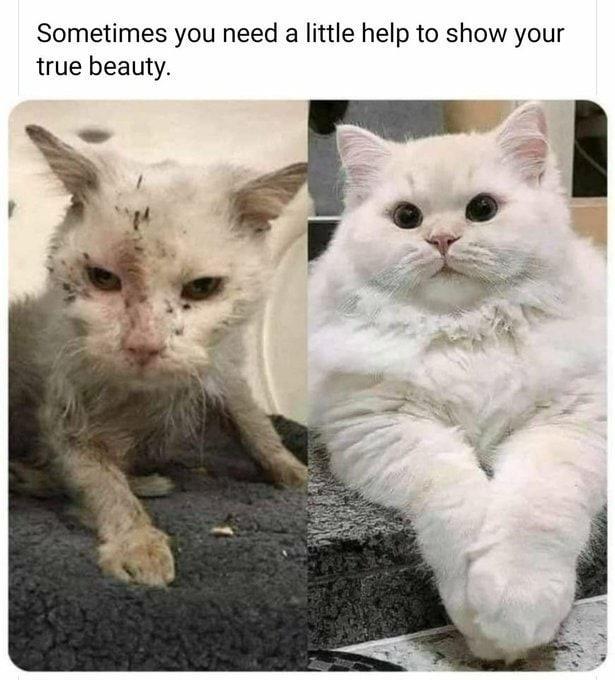 Sometimes you need a little help to show your true beauty 3 7 l