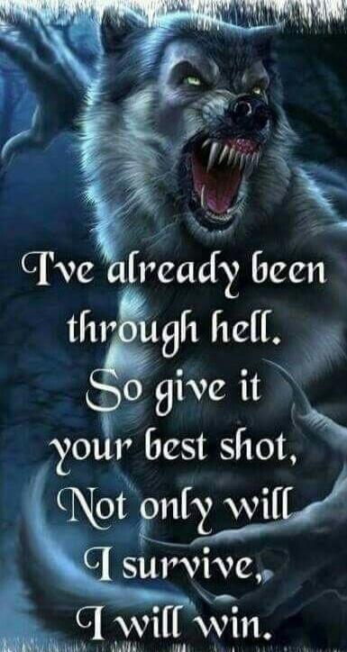I've already been through hell. So give it your best shot, Not only will I survive, I will win.
