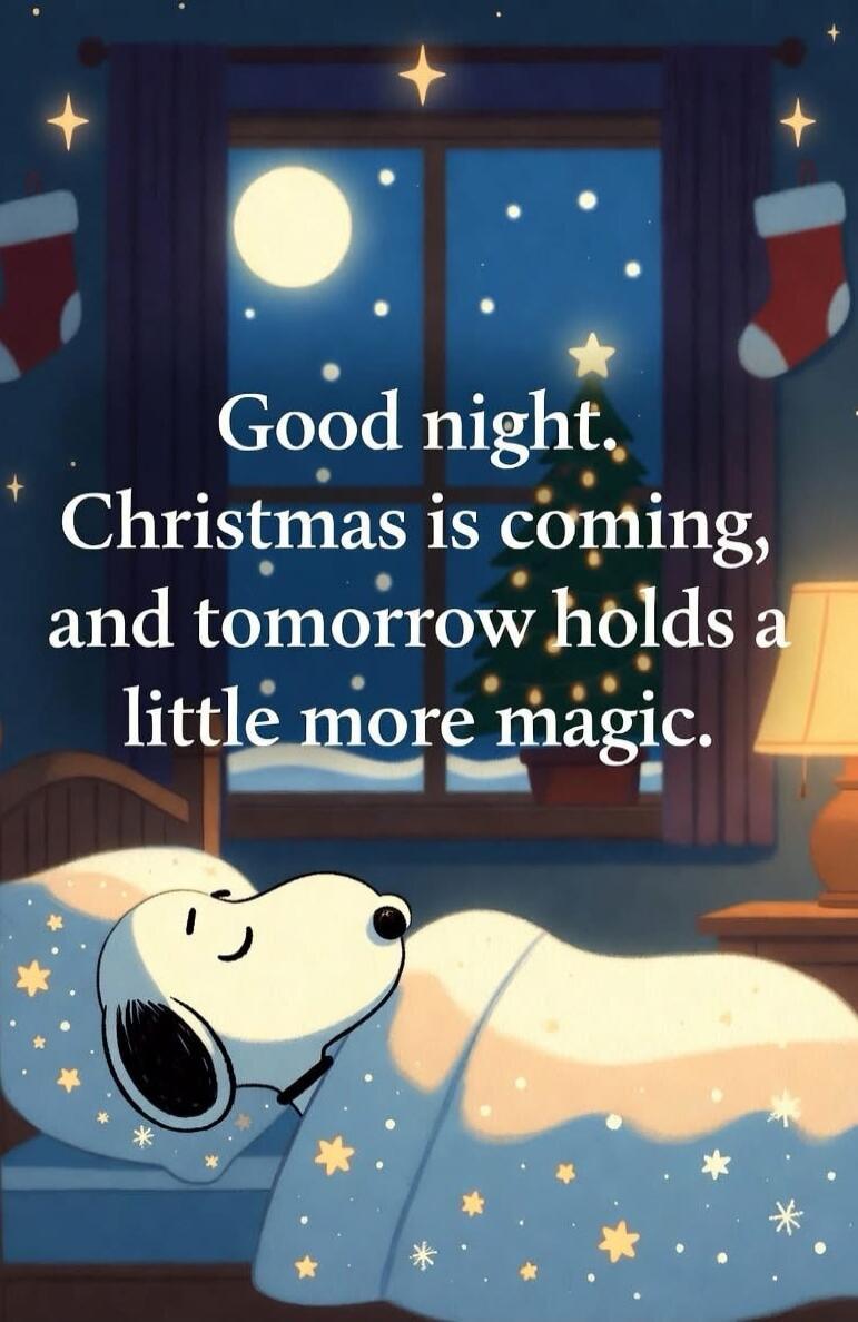 Good night. Christmas is coming, and tomorrow holds a little more magic.