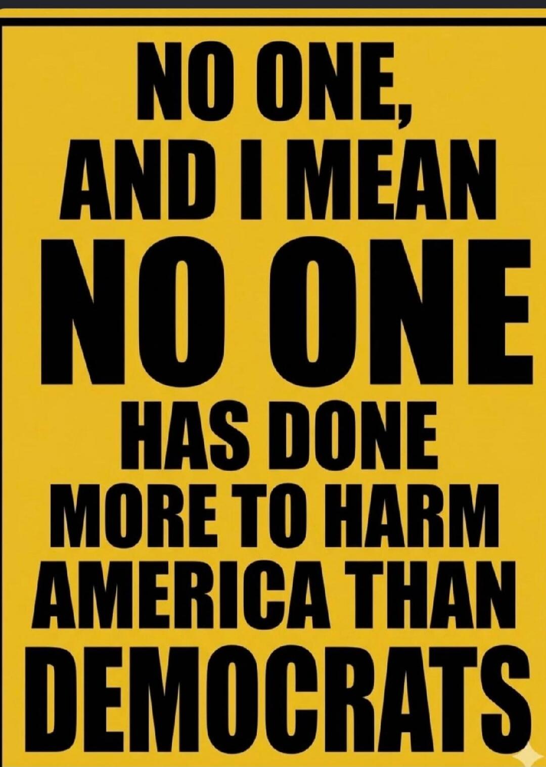 NO ONE, AND I MEAN NO ONE HAS DONE MORE TO HARM AMERICA THAN DEMOCRATS