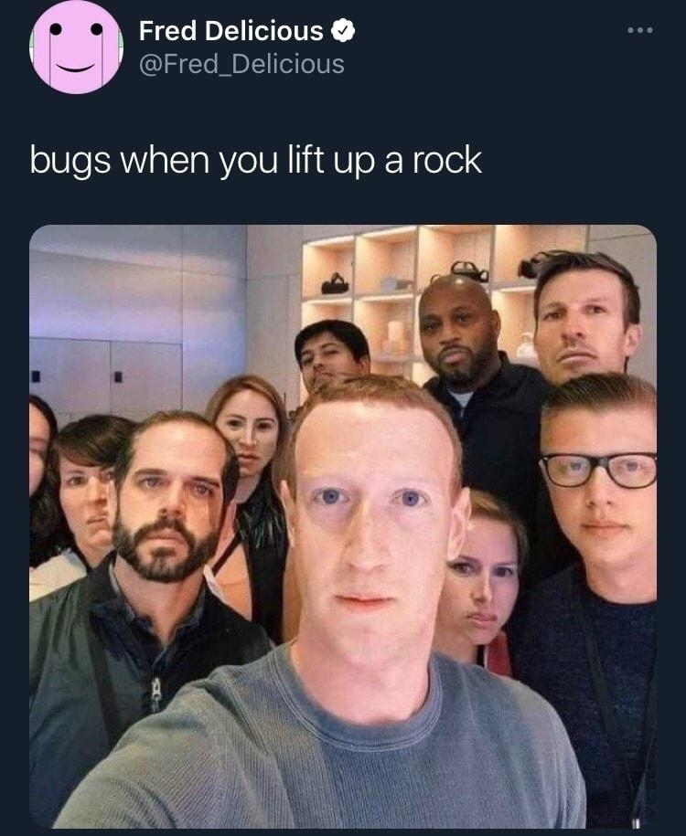 Fred Delicious Fred_Delicious bugs when you lift up a rock 851 AM 5922 5510 Retweets 302 Quote