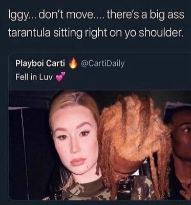 Iggy... don't move... there's a big ass tarantula sitting right on yo shoulder.

Playboi Carti 🔥 @CartiDaily
Fell in Luv 💞