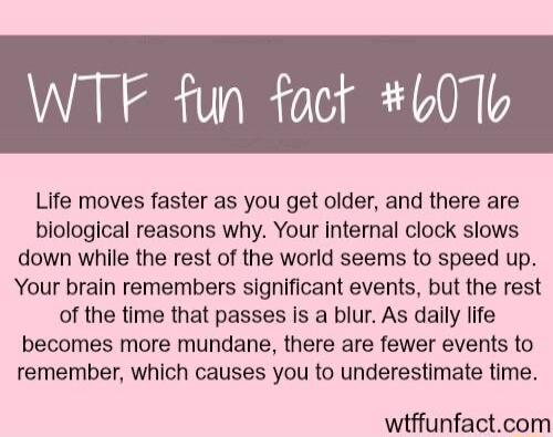 WTF fun fact 60Tb Life moves faster as you get older and there are biological reasons why Your internal clock slows down while the rest of the world seems to speed up YYour brain remembers significant events but the rest of the time that passes is a biur As dalily life becomes more mundane there are fewer events to remember which causes you to underestimate time witffunfactcom