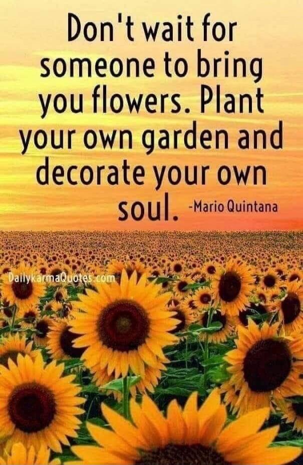 Don't wait for someone to bring you flowers. Plant your own garden and decorate your own soul. -Mario Quintana DailykarmaQuotes.com