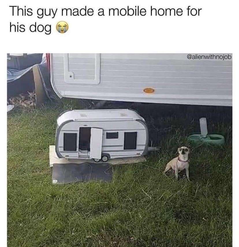 This guy made a mobile home for his dog alienwithnojob e e