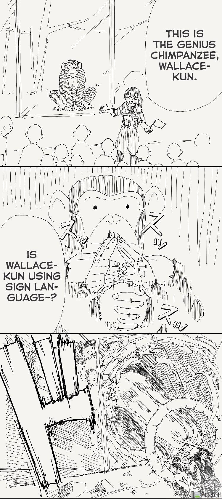 _THISIS THE GENIUS CHIMPANZEE WALLACE KUN WALLACE KUN USING SIGN LAN GUAGE