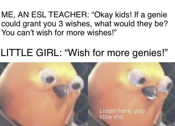 ME AN ESL TEACHER Okay kids If a genie could grant you 3 wishes what would they be You cant wish for more wishes LITTLE GIRL Wish for more genies TR i