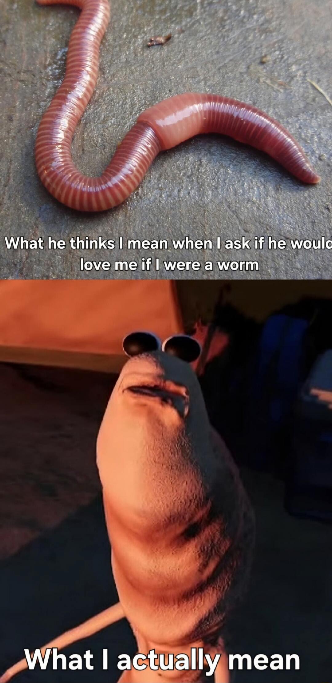 What he thinks I mean when I ask if he would love me if I were a worm
What I actually mean