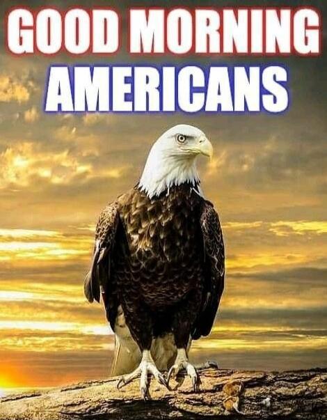 GOOD MORNING AMERICANS