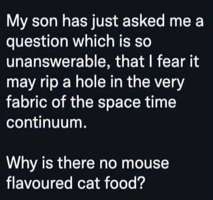 My son has just asked me a question which is so unanswerable, that I fear it may rip a hole in the very fabric of the space time continuum. Why is there no mouse flavoured cat food?