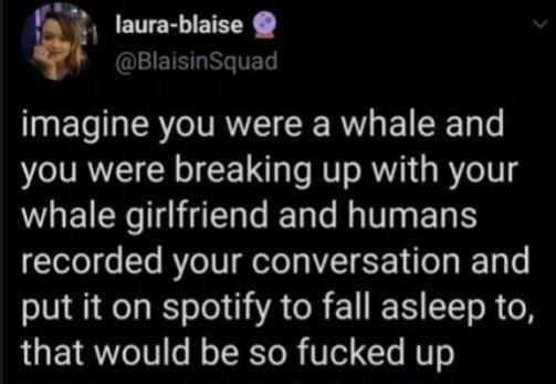 o 2 laura blaise O EISLNGTEL imagine you were a whale and you were breaking up with your whale girlfriend and humans recorded your conversation and put it on spotify to fall asleep to that would be so fucked up