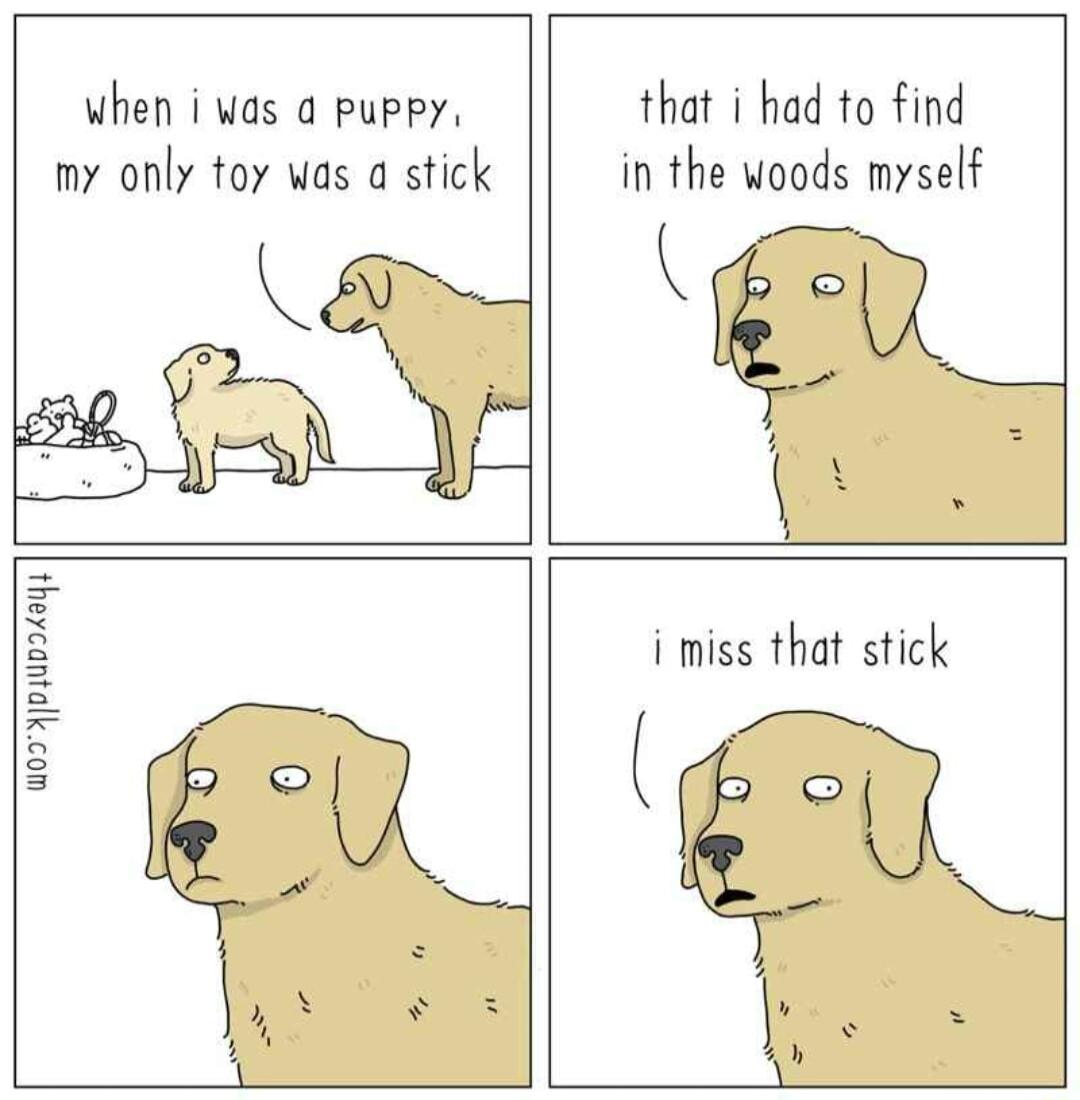 when i vas a puppy my only toy was a stick that i had to find in the woods myself B R i miss that stick