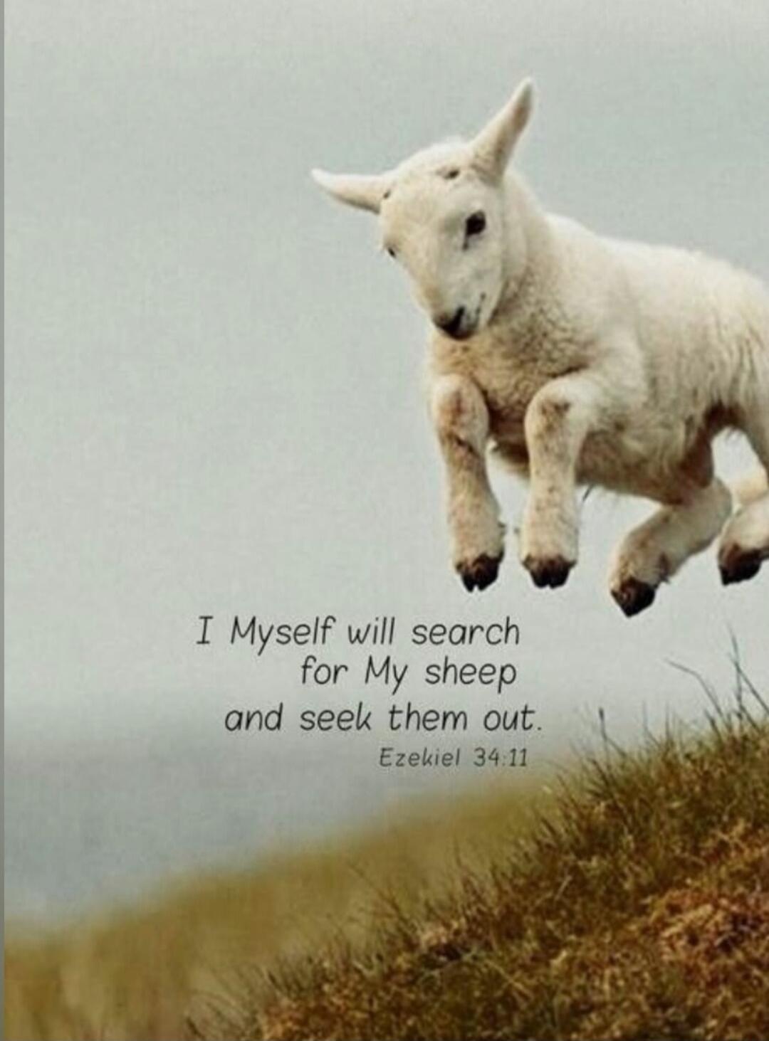 I Myself will search for My sheep and seek them out. Ezekiel 34:11