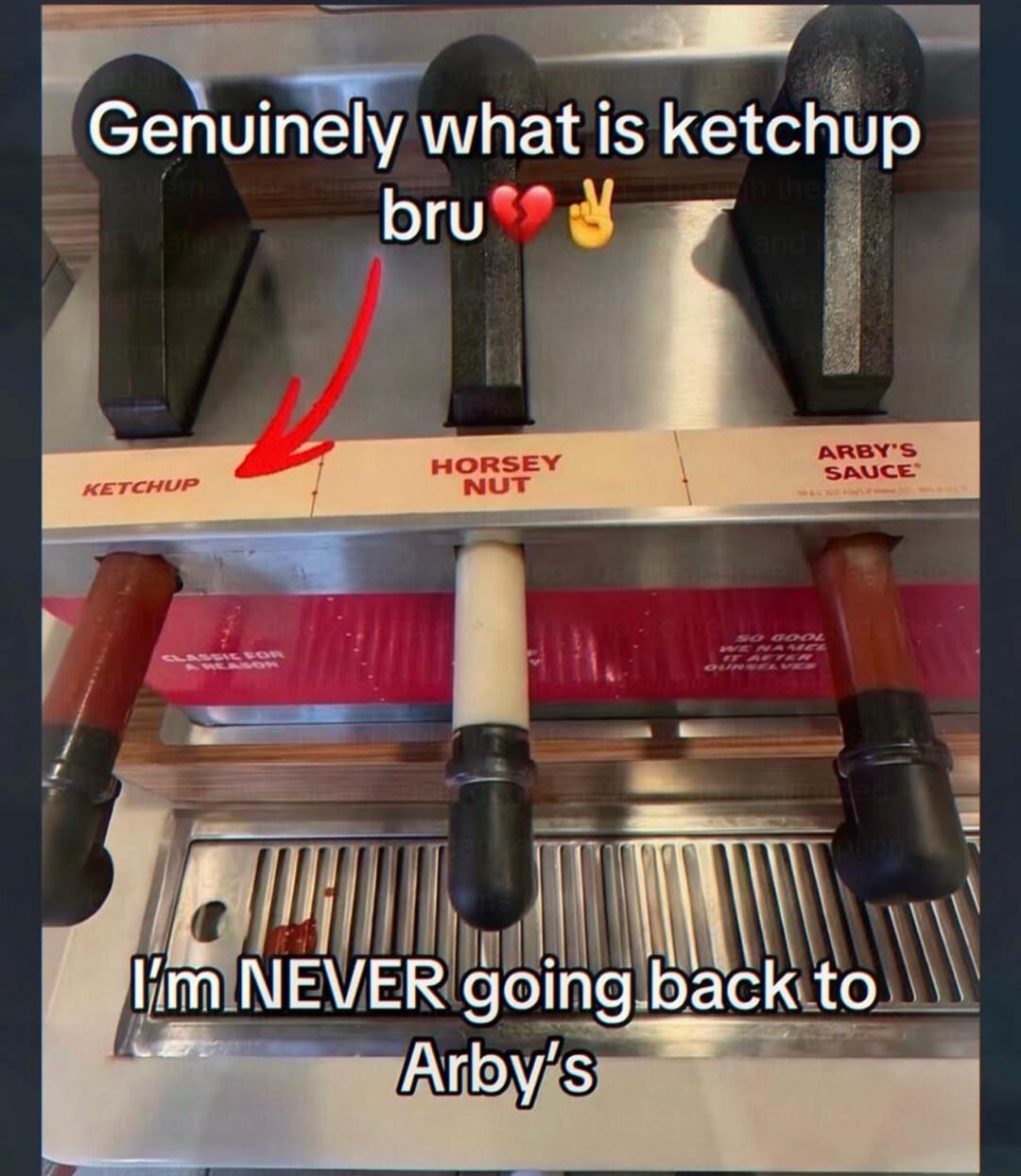 Genuinely what is ketchup bru 💔✌️ I'm NEVER going back to Arby's KETCHUP HORSEY NUT ARBY'S SAUCE