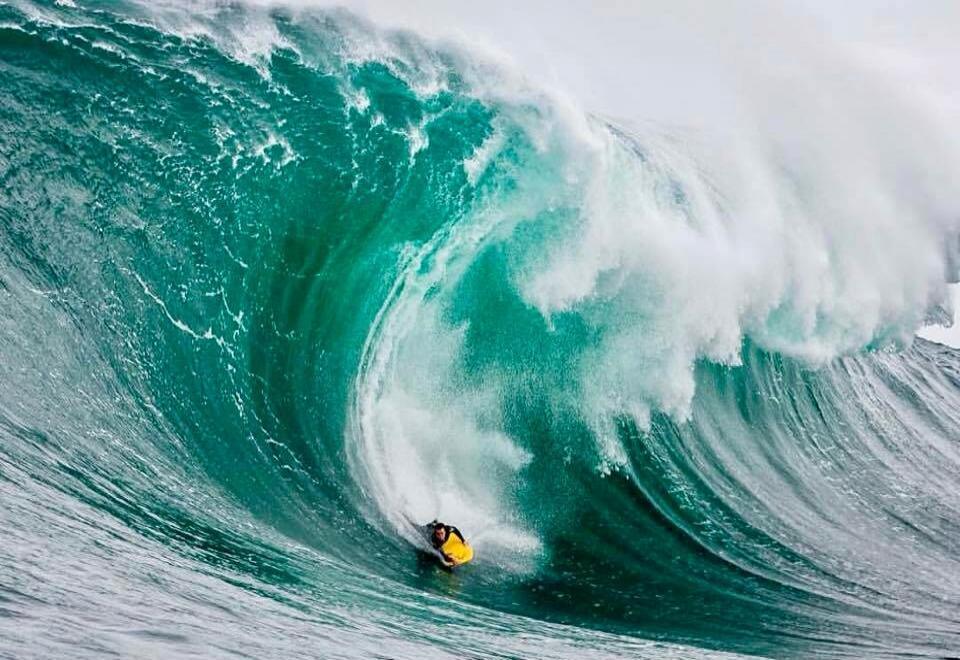 Session ID: 1017498.