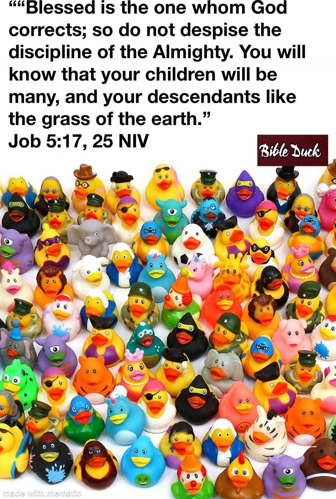 “Blessed is the one whom God corrects; so do not despise the discipline of the Almighty. You will know that your children will be many, and your descendants like the grass of the earth.” Job 5:17, 25 NIV