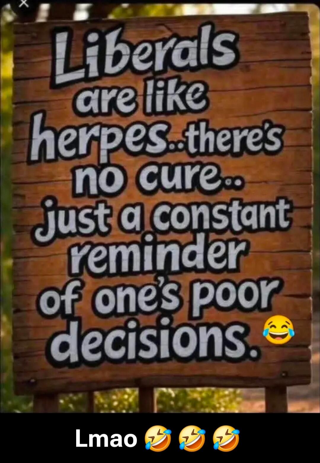 Liberals are like herpes... there's no cure... just a constant reminder of one's poor decisions. Lmao 😂😂😂