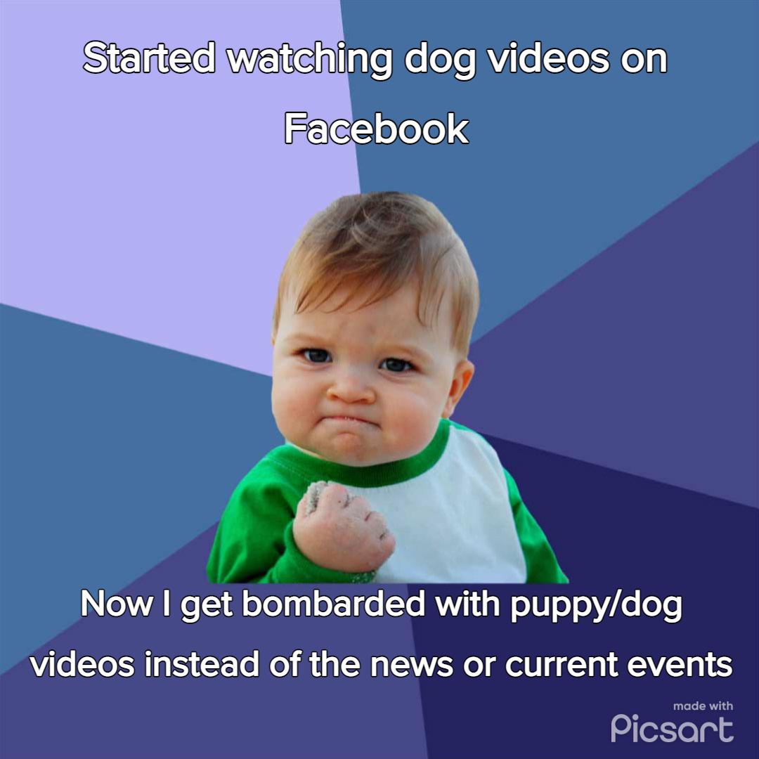 WelehigfeRe el Nils e 0el Now get bombarded with puppydog videos instead of the news or current events Picsart