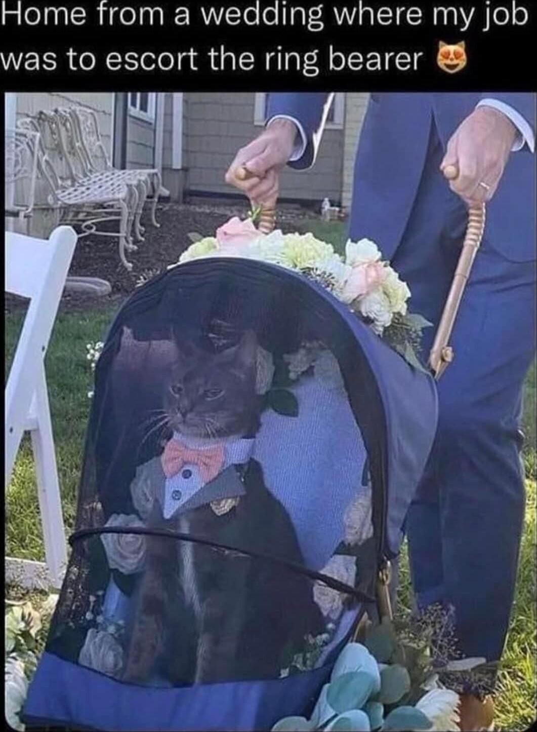 Home from a wedding where my job was to escort the ring bearer