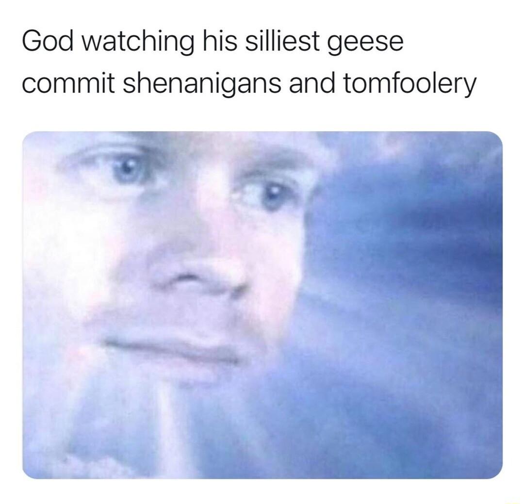 God watching his silliest geese commit shenanigans and tomfoolery