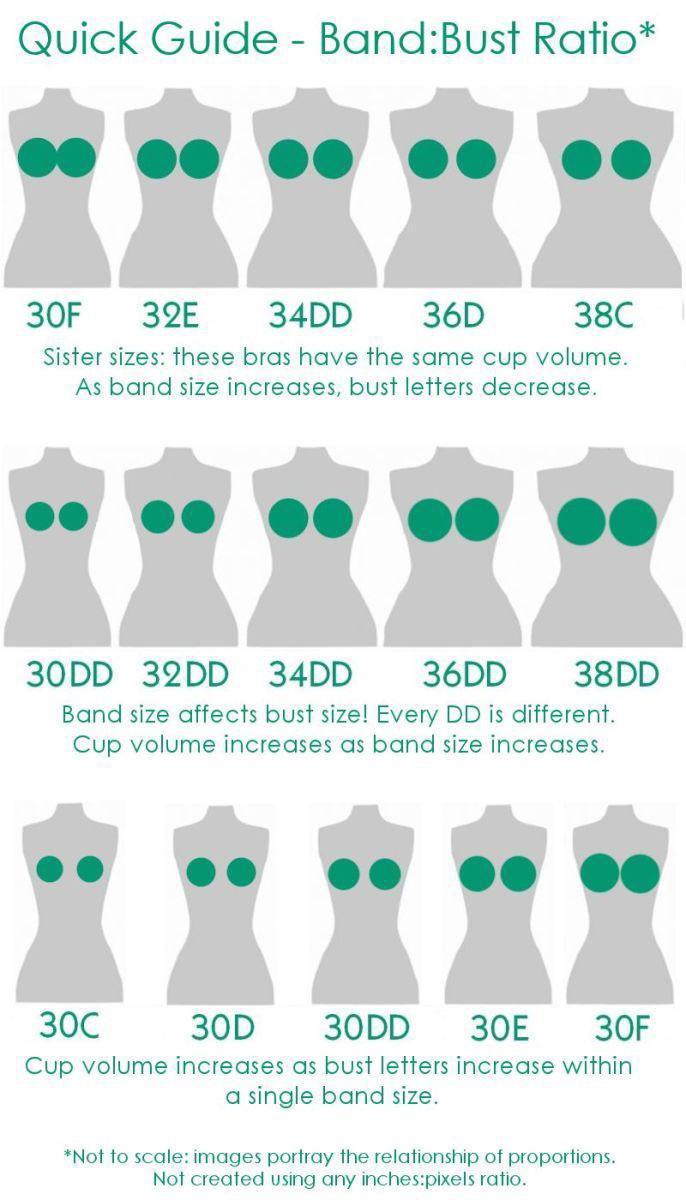 Quick Guide BandBust Ratio 30F 32E 34DD 36D 38C Sister sizes these bras have the same cup volume As band size increases bust letters decrease 30DD 32DD 34DD 36DD 38DD Band size affects bust size Every DD is different Cup volume increases as band size increases 30C 30D 30DD 30E 30F Cup volume increases as bust letters increase within asingle band size Not 1o scale images portray the relationship of